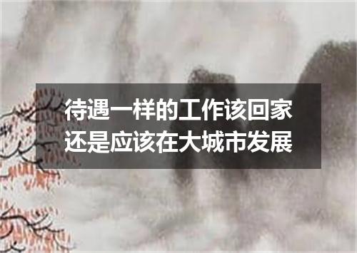 待遇一样的工作该回家还是应该在大城市发展