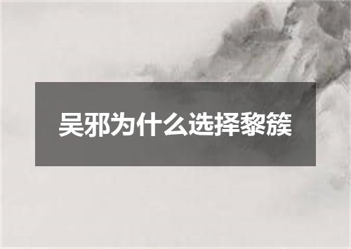 吴邪为什么选择黎簇