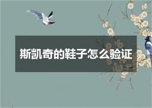 斯凯奇的鞋子怎么验证