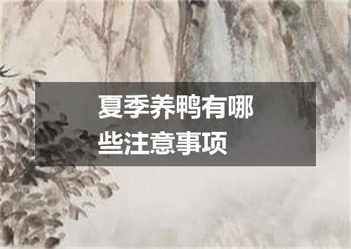 夏季养鸭有哪些注意事项