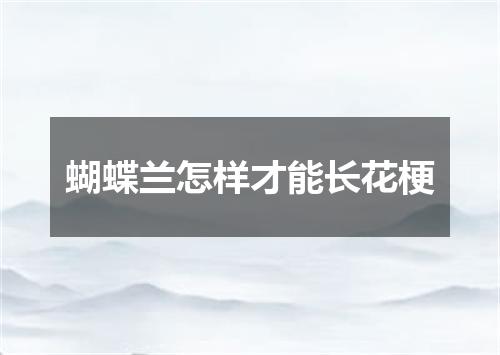 蝴蝶兰怎样才能长花梗