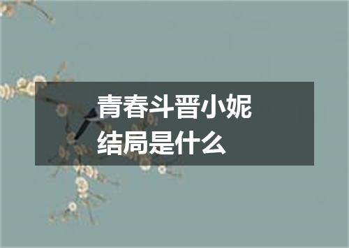 青春斗晋小妮结局是什么