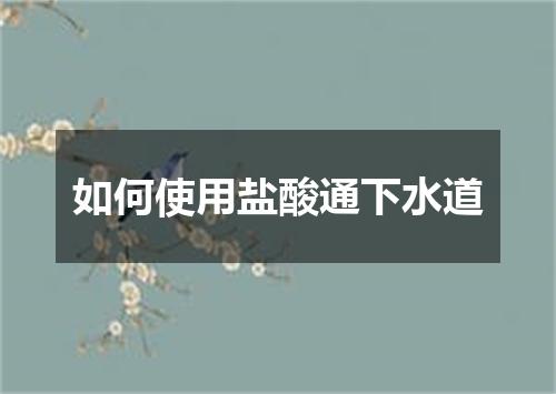 如何使用盐酸通下水道