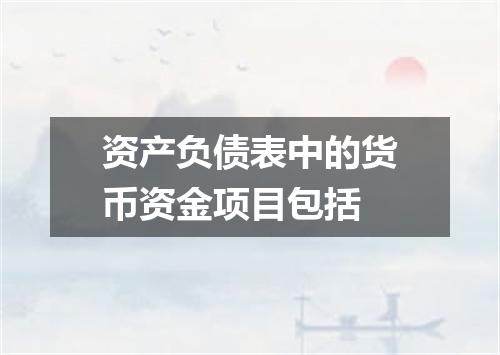 资产负债表中的货币资金项目包括