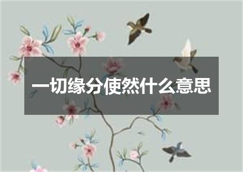 一切缘分使然什么意思