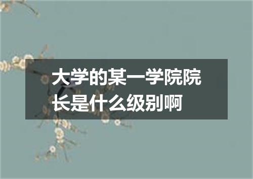大学的某一学院院长是什么级别啊