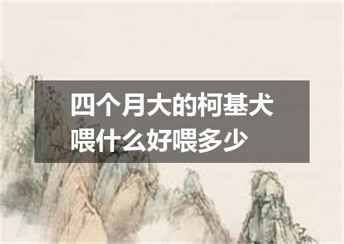 四个月大的柯基犬喂什么好喂多少