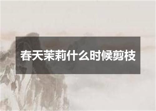 春天茉莉什么时候剪枝