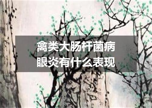 禽类大肠杆菌病眼炎有什么表现