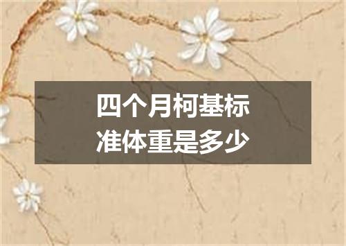 四个月柯基标准体重是多少