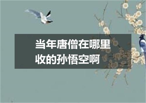 当年唐僧在哪里收的孙悟空啊