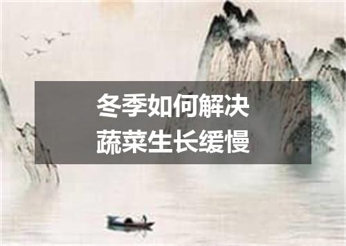 冬季如何解决蔬菜生长缓慢