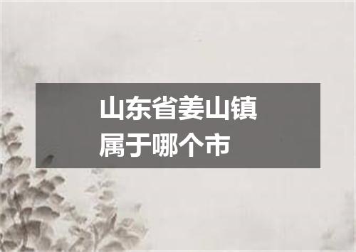 山东省姜山镇属于哪个市