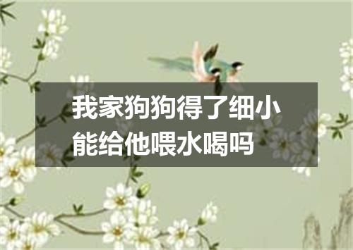 我家狗狗得了细小能给他喂水喝吗