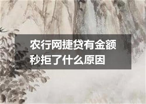 农行网捷贷有金额秒拒了什么原因
