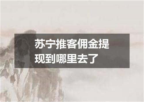 苏宁推客佣金提现到哪里去了