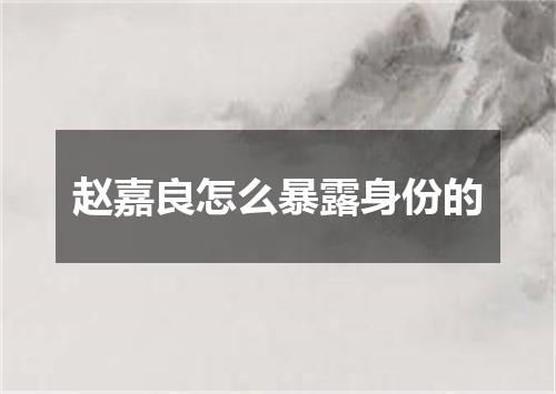 赵嘉良怎么暴露身份的