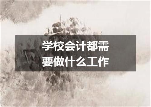 学校会计都需要做什么工作