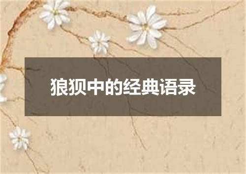 狼狈中的经典语录