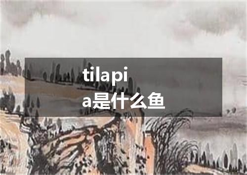 tilapia是什么鱼