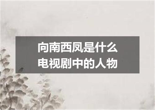 向南西凤是什么电视剧中的人物