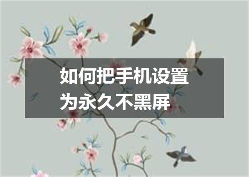 如何把手机设置为永久不黑屏