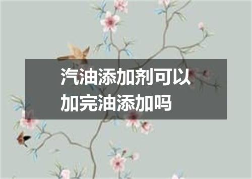 汽油添加剂可以加完油添加吗