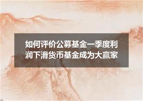如何评价公募基金一季度利润下滑货币基金成为大赢家