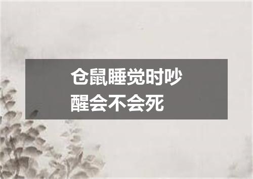 仓鼠睡觉时吵醒会不会死