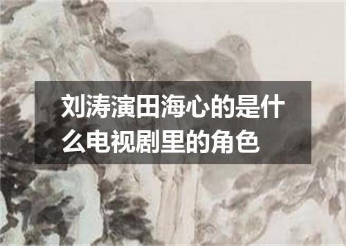 刘涛演田海心的是什么电视剧里的角色