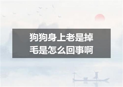 狗狗身上老是掉毛是怎么回事啊