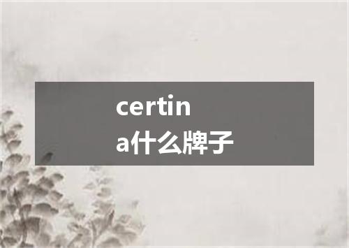 certina什么牌子