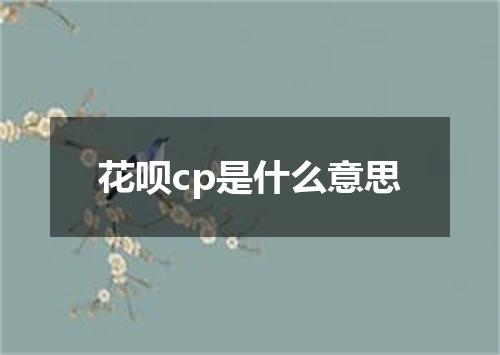 花呗cp是什么意思
