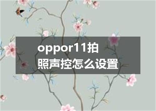 oppor11拍照声控怎么设置