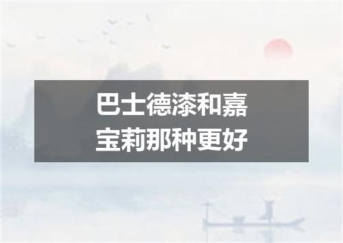 巴士德漆和嘉宝莉那种更好