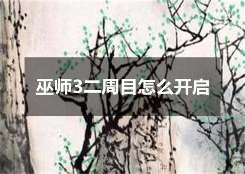 巫师3二周目怎么开启