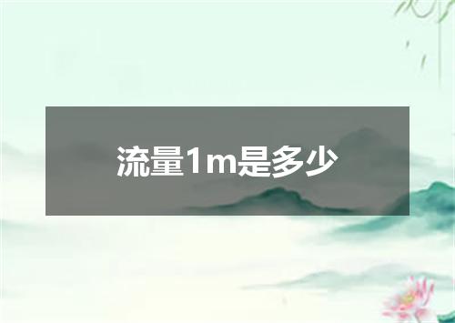 流量1m是多少