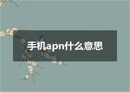 手机apn什么意思