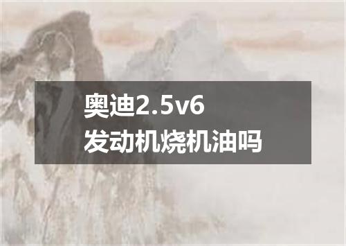 奥迪2.5v6发动机烧机油吗