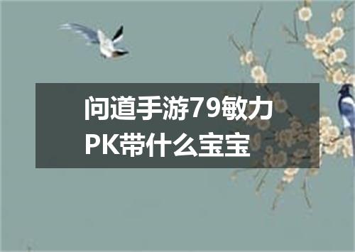 问道手游79敏力PK带什么宝宝