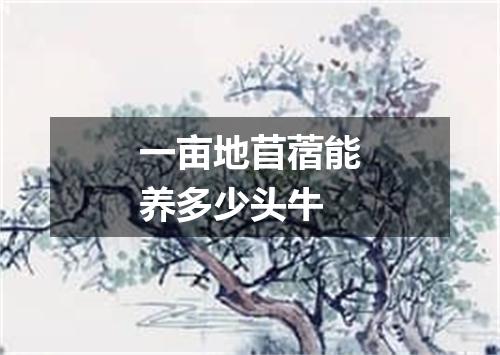 一亩地苜蓿能养多少头牛