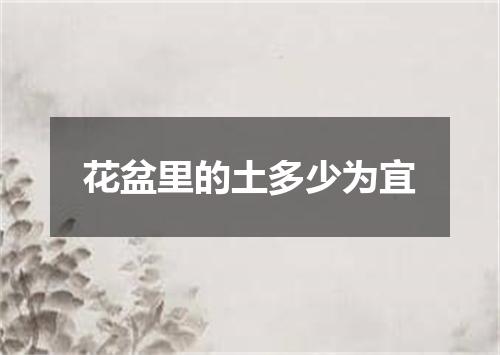 花盆里的土多少为宜