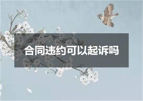 合同违约可以起诉吗
