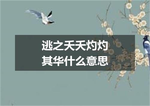 逃之夭夭灼灼其华什么意思