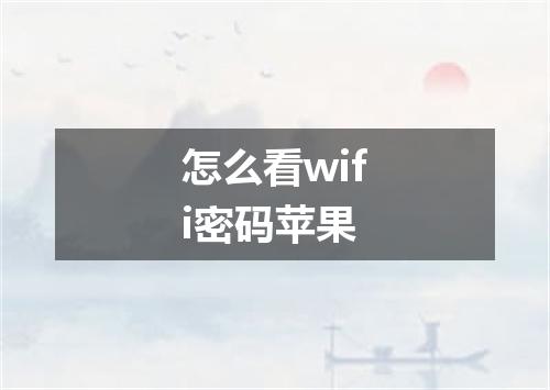 怎么看wifi密码苹果
