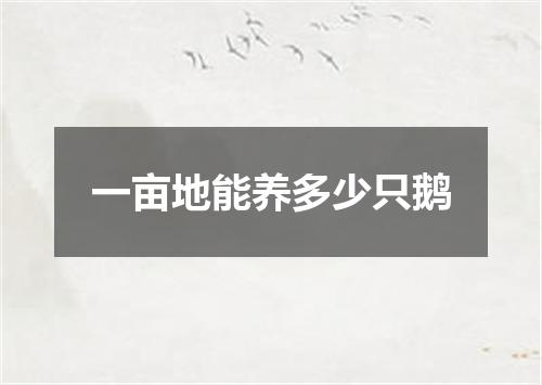 一亩地能养多少只鹅