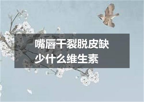 嘴唇干裂脱皮缺少什么维生素