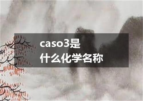 caso3是什么化学名称
