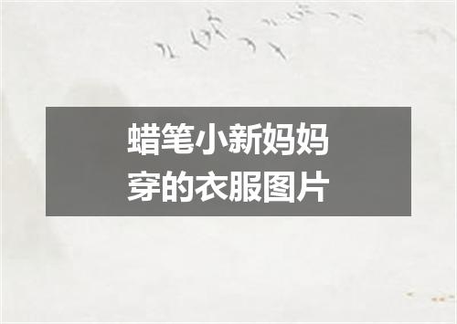 蜡笔小新妈妈穿的衣服图片