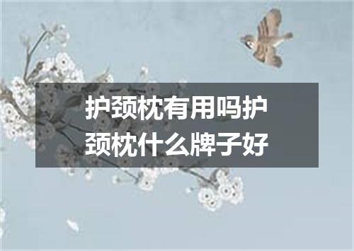 护颈枕有用吗护颈枕什么牌子好